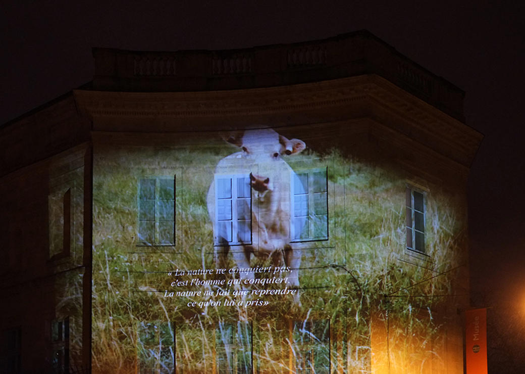  Crédit photo : Sébastien Morin, Projet Renature, FACTS 2019, université de Bordeaux.